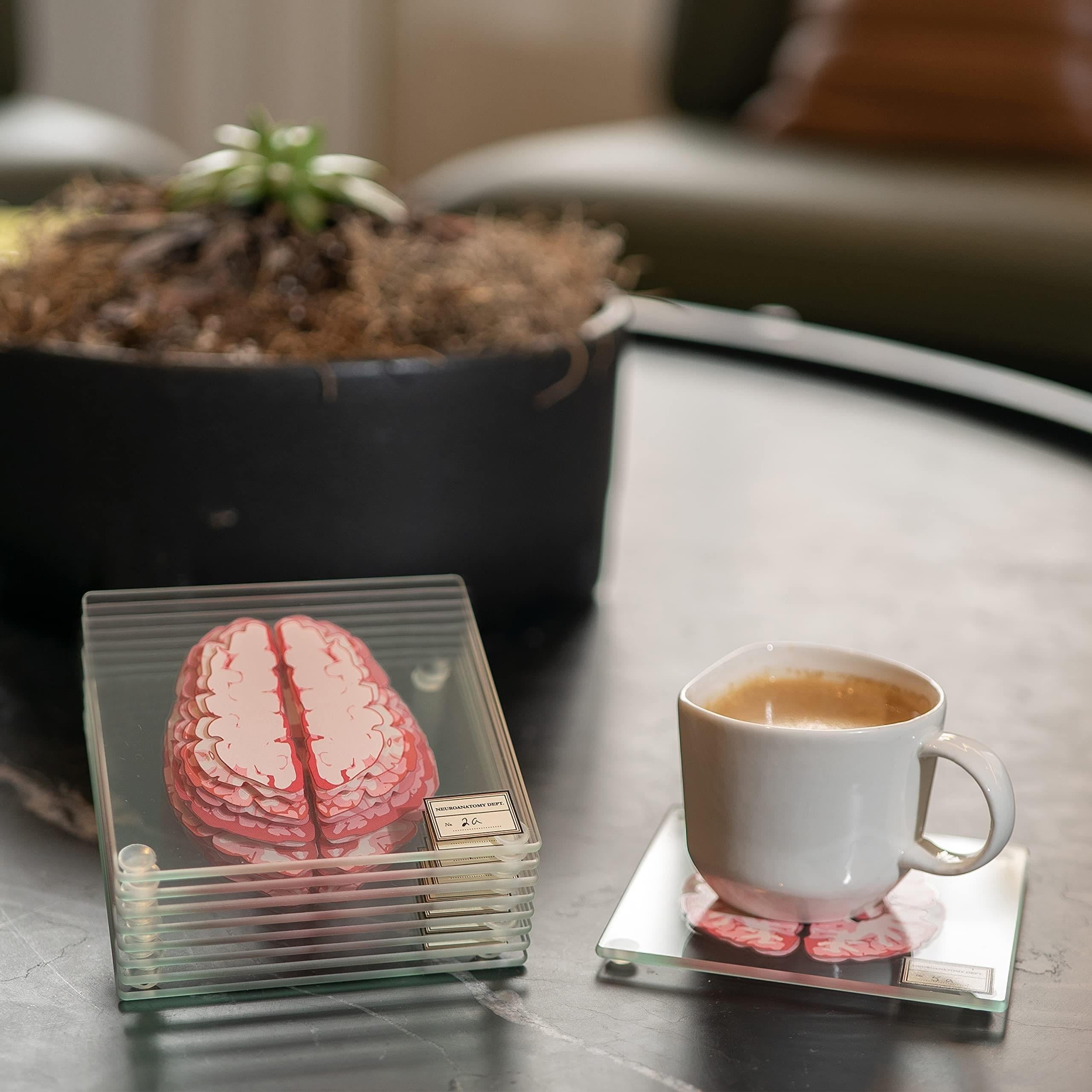 Brain Anatomy Coaster Collection