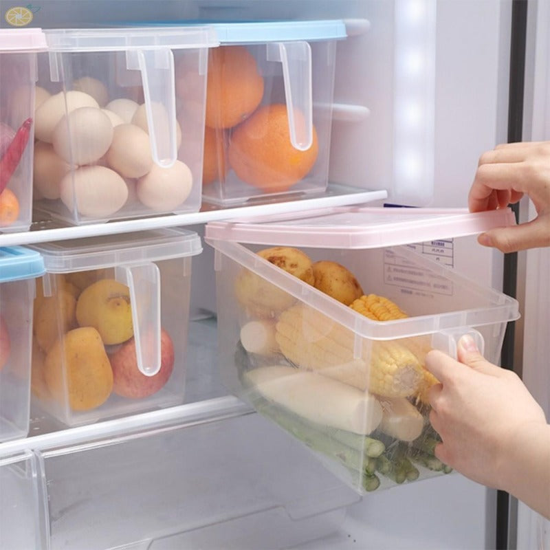 Transparent Sealable Fridge Storage Boxes