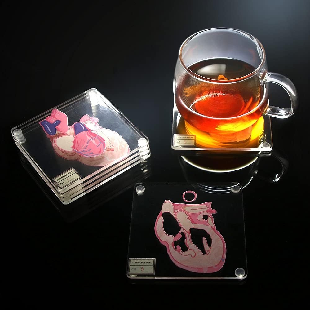 Brain Anatomy Coaster Collection