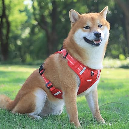 🐕Safe and Comfortable Dog harness