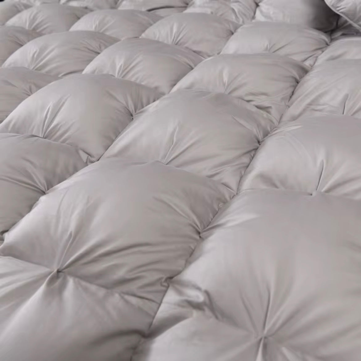 Splendore Grey Goose Down Comforter