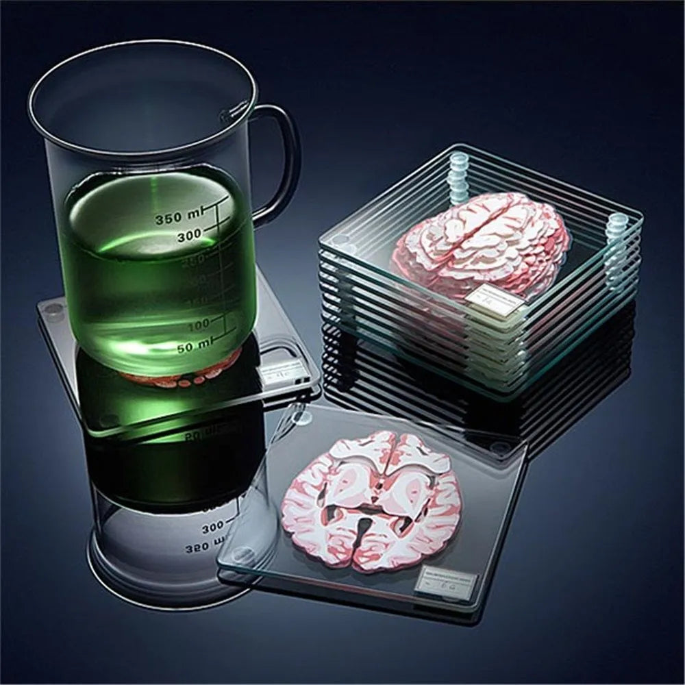 Brain Anatomy Coaster Collection