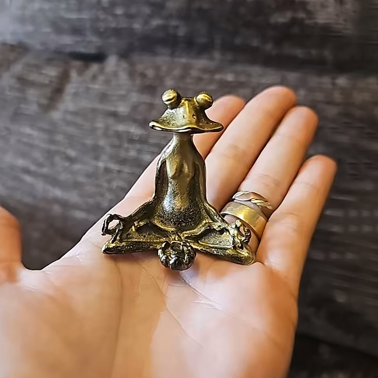 Brass Colour Meditating Frog Figurine Incense Holder – Zen Décor for Mindfulness and Meditation