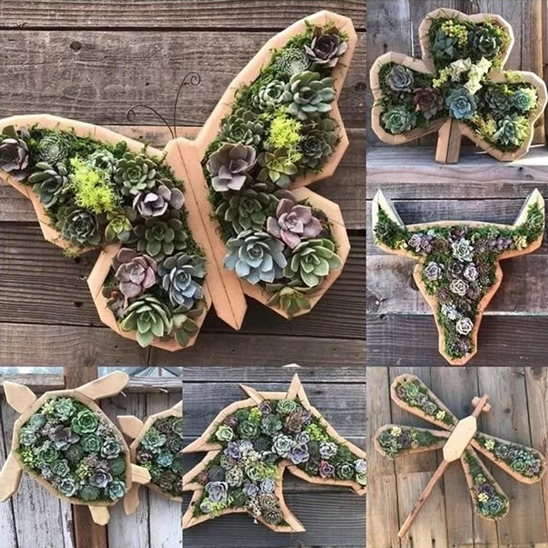 Animal Succulent Garden Arrangement