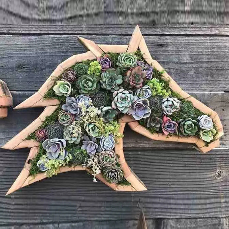 Animal Succulent Garden Arrangement