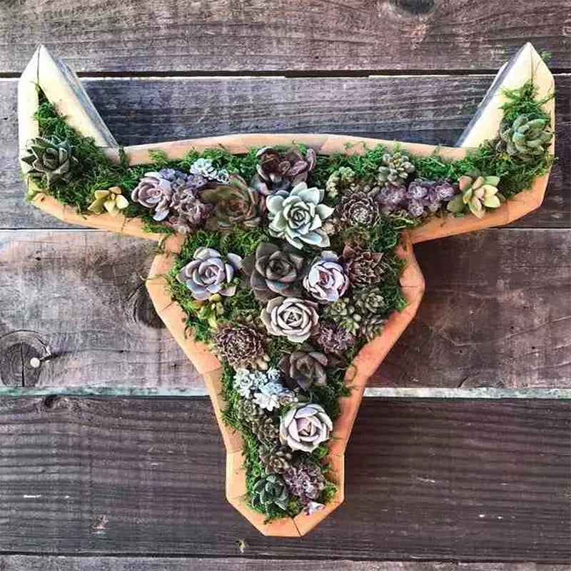 Animal Succulent Garden Arrangement