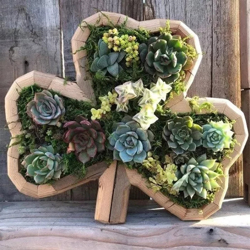 Animal Succulent Garden Arrangement