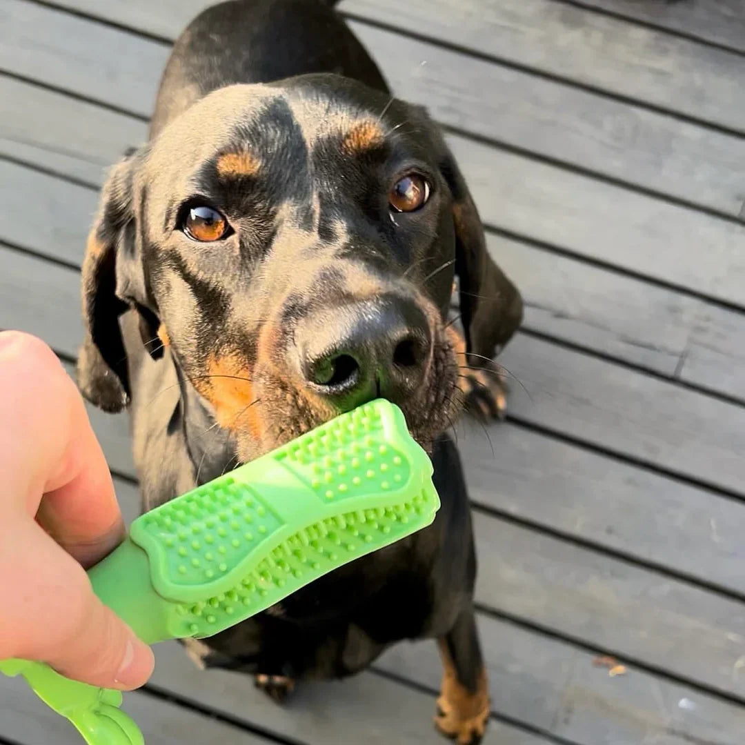 CalmingTeeth -  Durable Dog Chew Toy Toothbrush