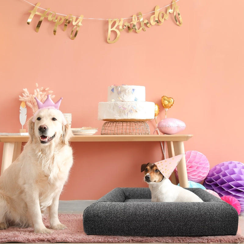 Comfy Boucle Memory Foam Dog Bed