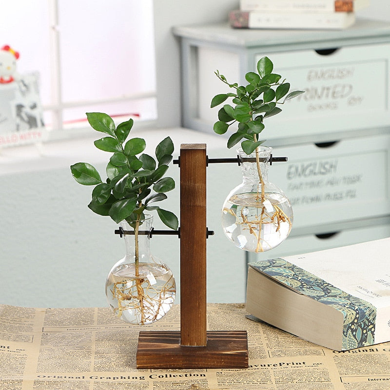 Vintage Garden  - Wooden Frame Terrarium Hydroponic Plant Vases