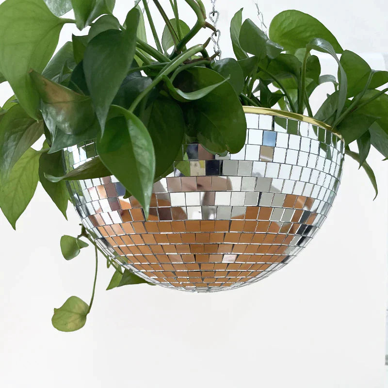 Disco Hanging Planter