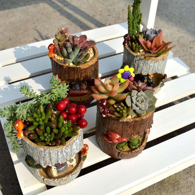 Charming Succulent Planter